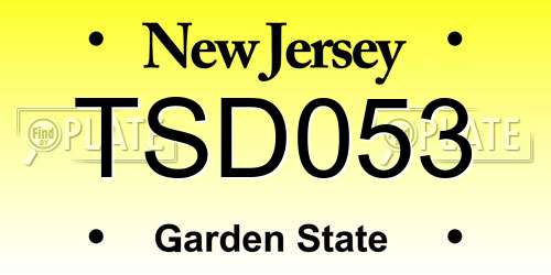 TSD053 New Jersey License Plate