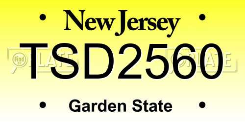 TSD2560 New Jersey License Plate