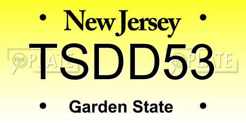 TSDD53 New Jersey License Plate