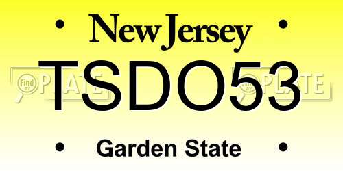TSDO53 New Jersey License Plate
