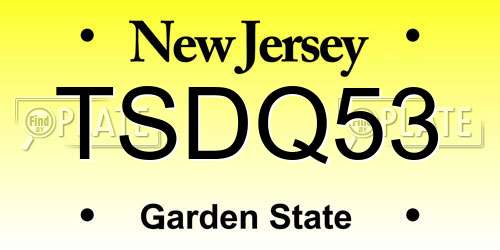 TSDQ53 New Jersey License Plate