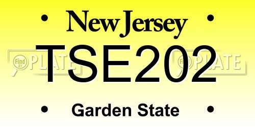 TSE202 New Jersey License Plate