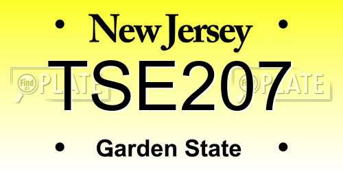 TSE207 New Jersey License Plate