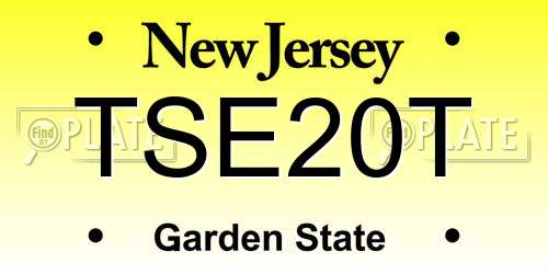 TSE20T New Jersey License Plate