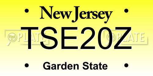 TSE20Z New Jersey License Plate