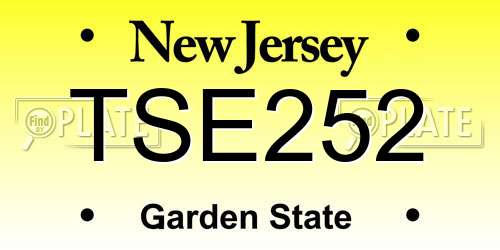 TSE252 New Jersey License Plate