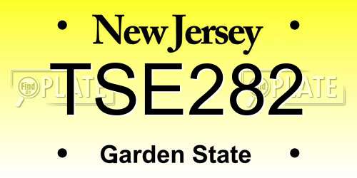 TSE282 New Jersey License Plate