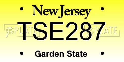 TSE287 New Jersey License Plate
