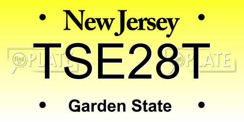 TSE28T New Jersey License Plate