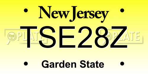 TSE28Z New Jersey License Plate