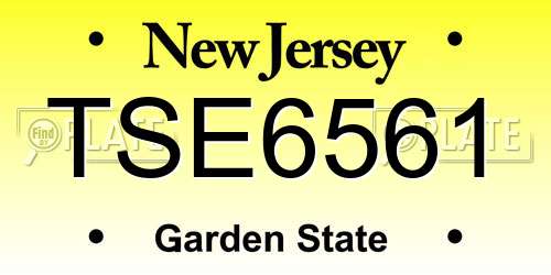 TSE6561 New Jersey License Plate