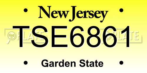 TSE6861 New Jersey License Plate