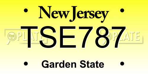 TSE787 New Jersey License Plate