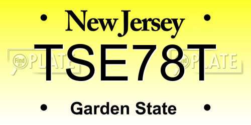 TSE78T New Jersey License Plate