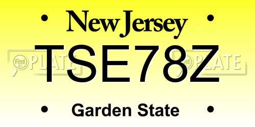 TSE78Z New Jersey License Plate