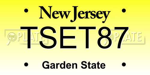 TSET87 New Jersey License Plate