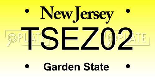 TSEZ02 New Jersey License Plate