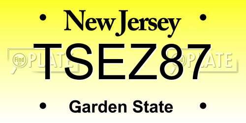 TSEZ87 New Jersey License Plate