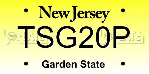 TSG20P New Jersey License Plate
