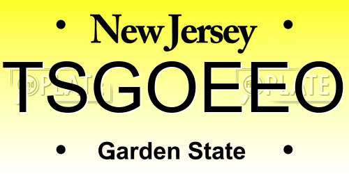 TSGOEEO New Jersey License Plate
