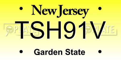TSH91V New Jersey License Plate