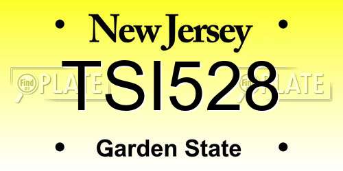 TSI528 New Jersey License Plate