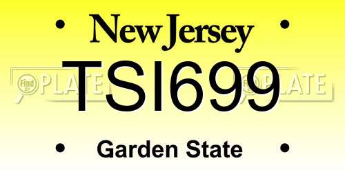 TSI699 New Jersey License Plate