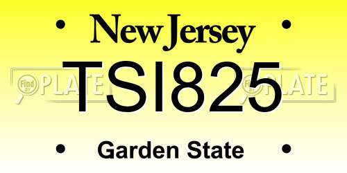 TSI825 New Jersey License Plate