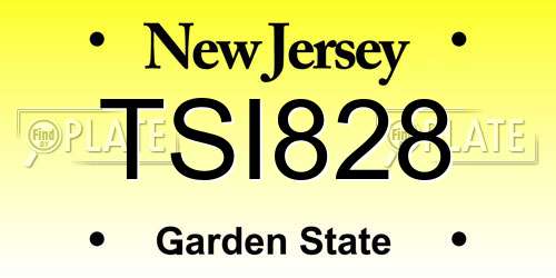 TSI828 New Jersey License Plate