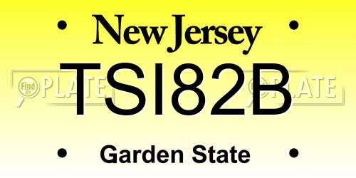 TSI82B New Jersey License Plate