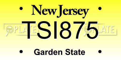 TSI875 New Jersey License Plate