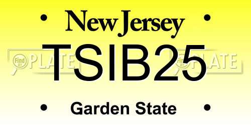 TSIB25 New Jersey License Plate