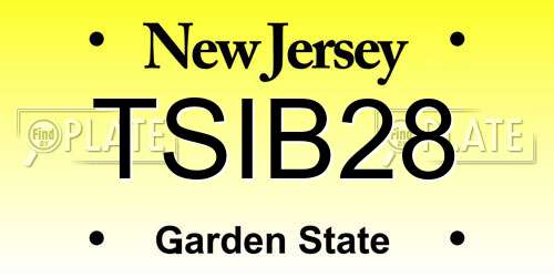 TSIB28 New Jersey License Plate