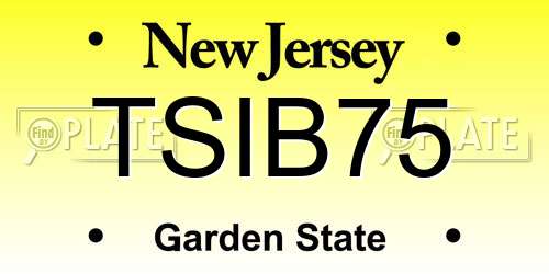 TSIB75 New Jersey License Plate