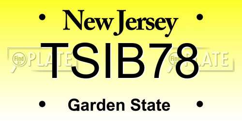 TSIB78 New Jersey License Plate