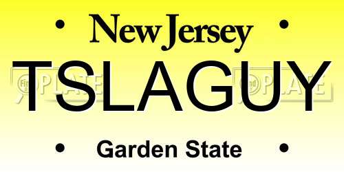 TSLAGUY New Jersey License Plate
