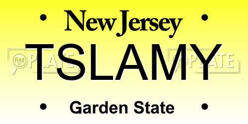 TSLAMY New Jersey License Plate