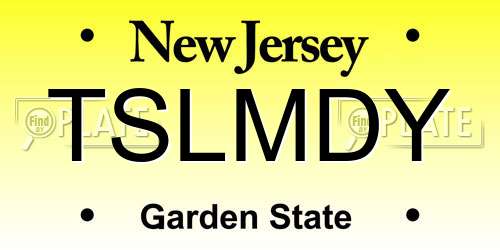 TSLMDY New Jersey License Plate