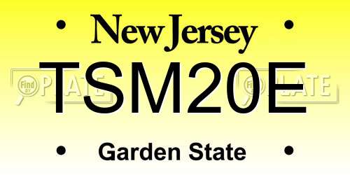 TSM20E New Jersey License Plate