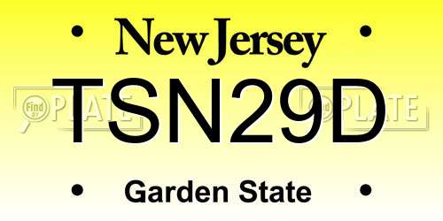 TSN29D New Jersey License Plate