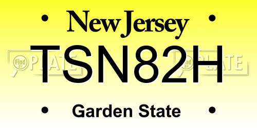 TSN82H New Jersey License Plate