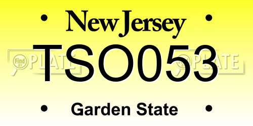 TSO053 New Jersey License Plate