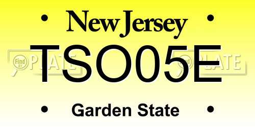 TSO05E New Jersey License Plate