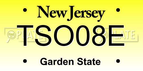 TSO08E New Jersey License Plate