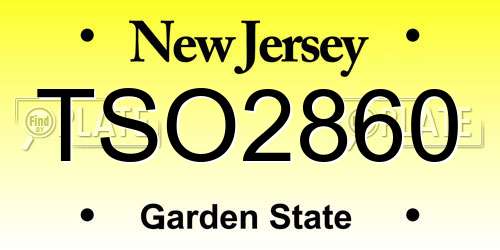 TSO2860 New Jersey License Plate