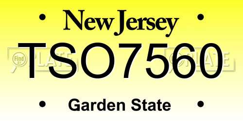 TSO7560 New Jersey License Plate