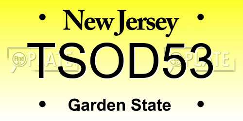 TSOD53 New Jersey License Plate