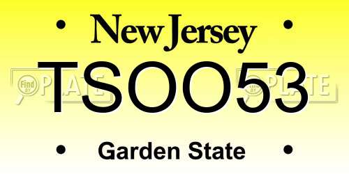 TSOO53 New Jersey License Plate
