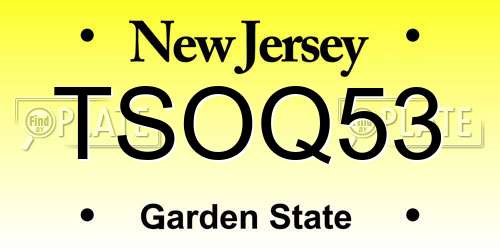 TSOQ53 New Jersey License Plate