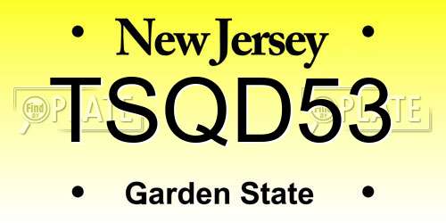 TSQD53 New Jersey License Plate